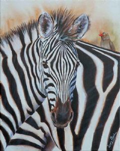"Zebra with Oxpecker"