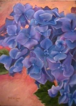 "Hydrangea 1"