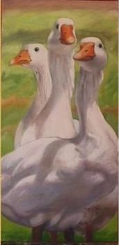 "Geese 1"