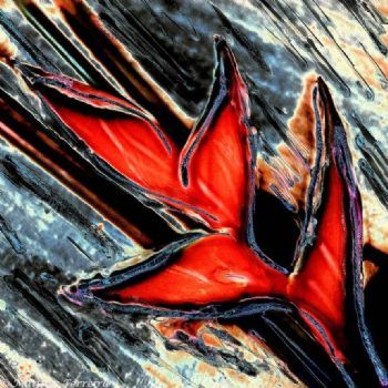 "Sterilitzia Red"