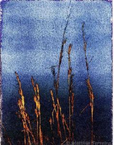 "Wheat Field"