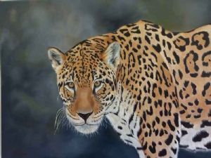 "Leopard"