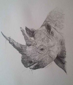 "The Black Rhino"