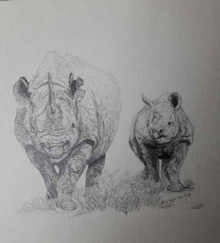 "The Black Rhino and baby"