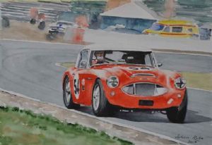 "Austin Healey 3000"