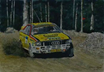 "Audi,Quattro,Sarel van der Merwe"