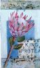 "Pink Protea,Stensil Detail"