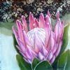 "Protea with lace detail"