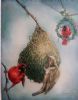 "Finches"