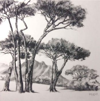 "Stone Pines, Somerset West"