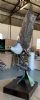 "Lifesize Eagle different view"