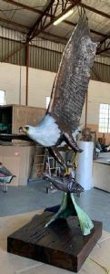 "Lifesize Eagle different view"
