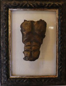 "Male Torso I"