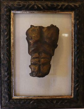"Male Torso I"