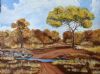 "Bushveld Winter"