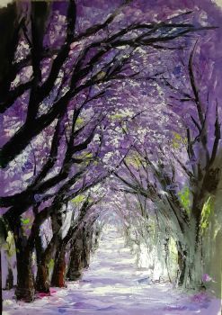 "Jacaranda Pathway"