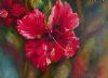 "Hibiscus "