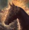 "After the Gallop"