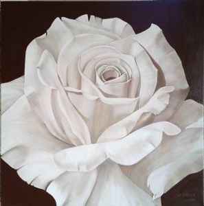 "White Rose "