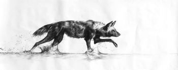 "Wild Dog Hunting"