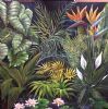 "The Jungle"