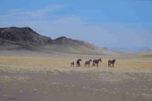 "Dersert horses Aus"