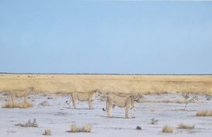 "Etosha Sisters"