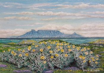 "Table Mountain South Africa"