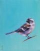 "Sparrow - Turquoise"