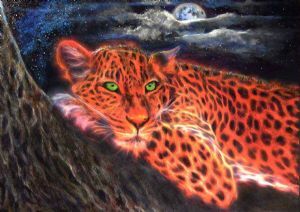 "Leopard by Moonlight"