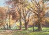 "Picnic near Citrusdal"