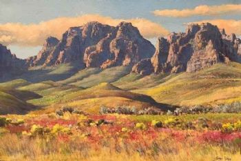 "Jonkershoek"