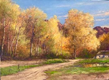 "Golden Poplars Near Calitzdorp"