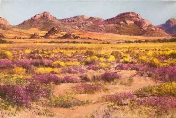 "Namaqualand Spring"