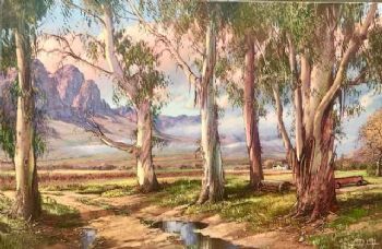 "Bluegums Near Wolseley"