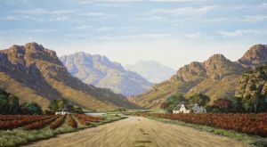 "The Western Cape Scene With Vineyard"