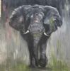 "African Elephant"