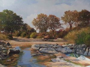 "Ruaha Wilderness 1"