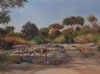 "Ruaha Wilderness 2 "