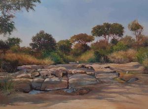 "Ruaha Wilderness 2 "