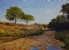 "Kruger Park Wilderness 2"