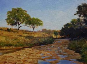 "Kruger Park Wilderness 2"