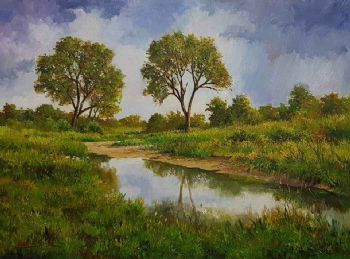 "Kruger Park Wilderness 4"