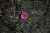 "Life After Death"