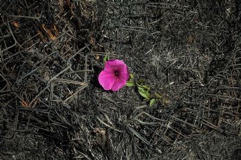 "Life After Death"