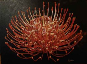 "Pincushion Protea"