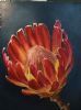 "Protea"