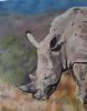 "White Rhino"