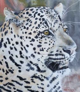 "Leopard in Shamwari"
