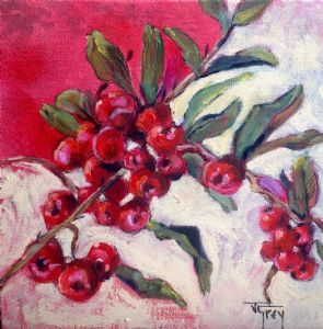 "Cotoneaster"